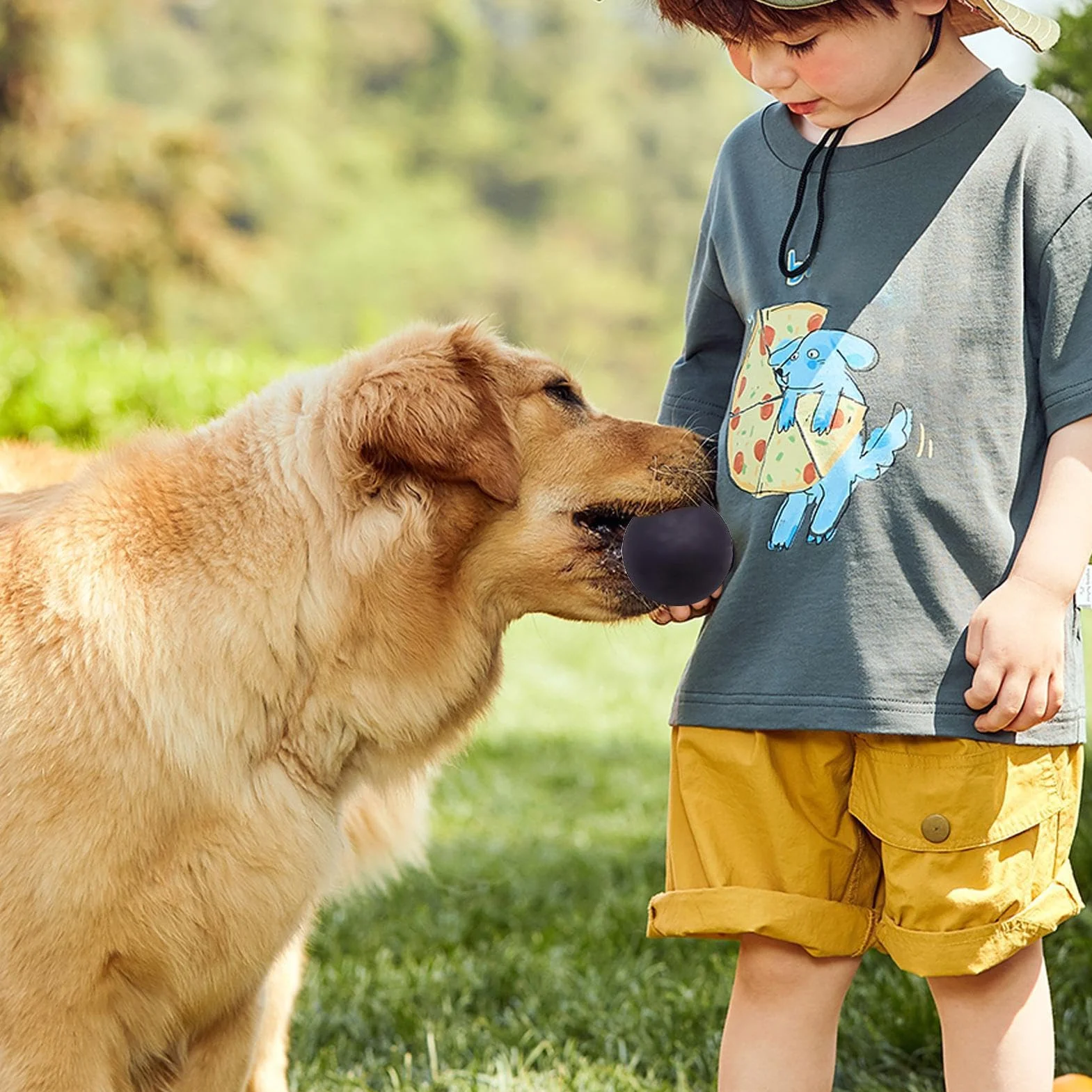 Palline da squash altamente elastiche, facili da saltare, per bambini e animali domestici, in gomma ben visibili
